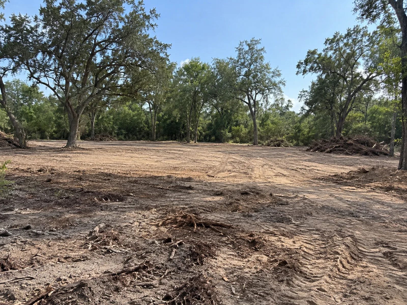 Cleared homesite opening with sandy ground, equipment tracks and mature trees retained around the edges